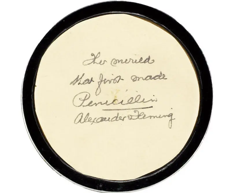 Alguien pagó más de 40 millones de pesos por un plato de moho