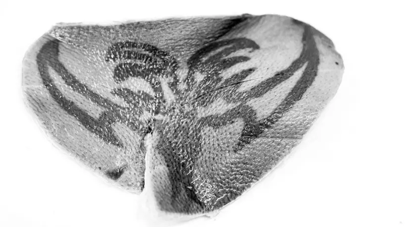 Dos colombianos están en la final del sony world photography awards
