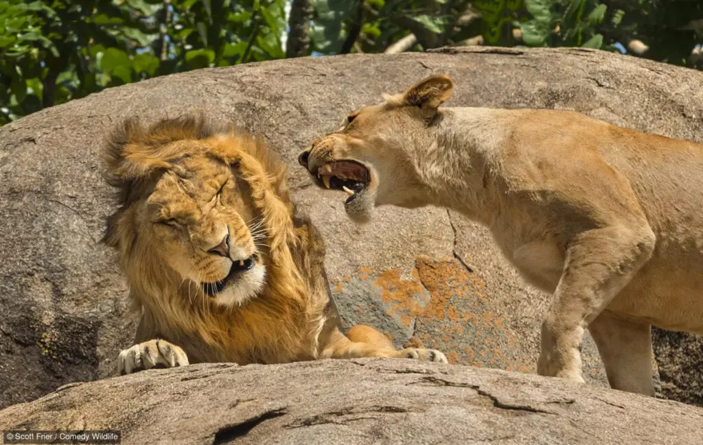 fotografías más graciosas del mundo animal