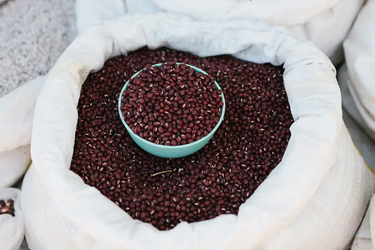 Los carbohidratos pueden ser amigos (y comida), recomendaciones de harvard para consumirlos Los carbohidratos pueden ser amigos (y comida), recomendaciones de harvard para consumirlos