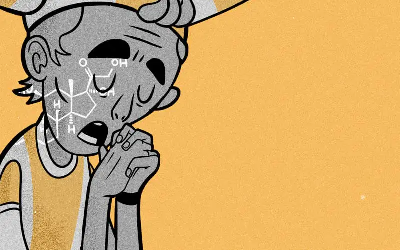 ¿cómo se explica el amor de un hincha por su equipo de fútbol?