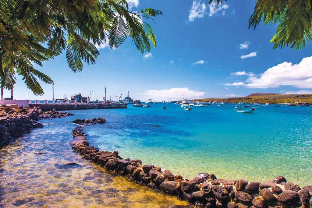 Cinco lugares para darle la bienvenida al 2022 Galapagos