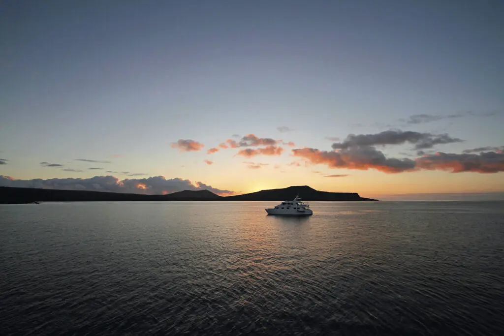 Cinco lugares para darle la bienvenida al 2022 Isla seymour