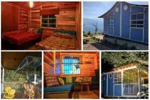 Jaguar exotic coffee, del café de especialidad a viajes de lujo en bogotá