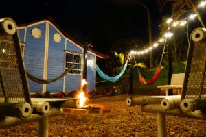 Jaguar exotic coffee, del café de especialidad a viajes de lujo en bogotá