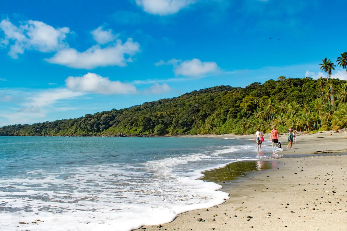 Isla de gorgona: una joya natural en el pacífico colombiano