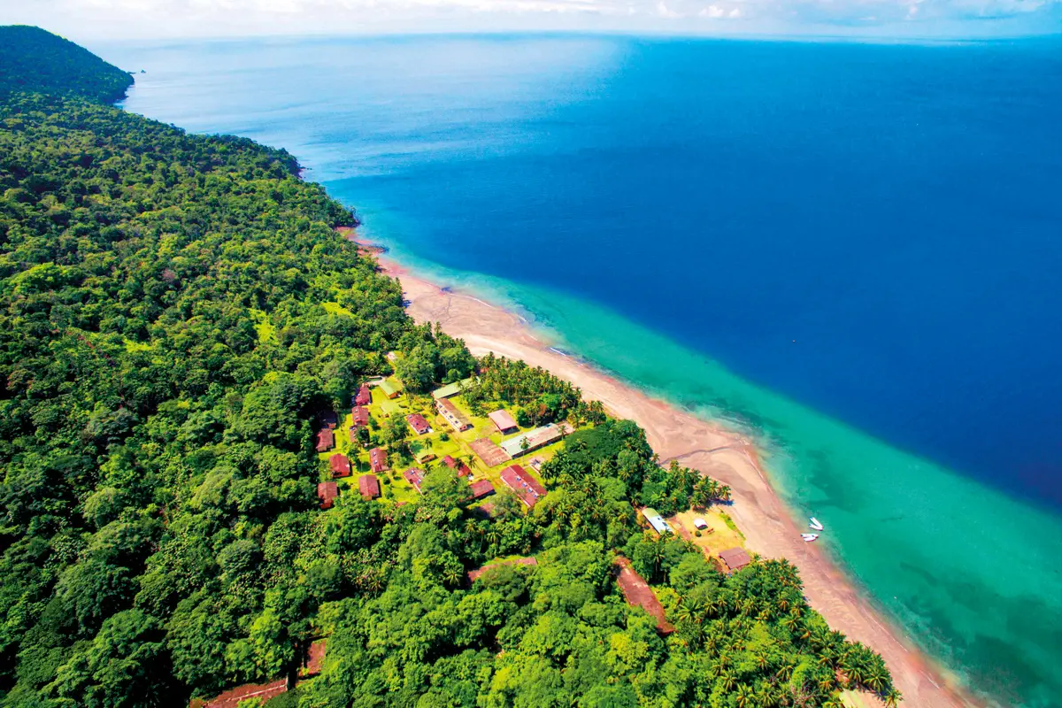 Isla de gorgona: una joya natural en el pacífico colombiano