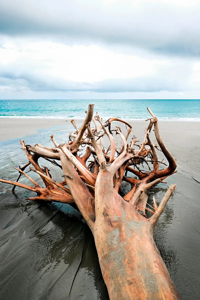 Isla de gorgona: una joya natural en el pacífico colombiano
