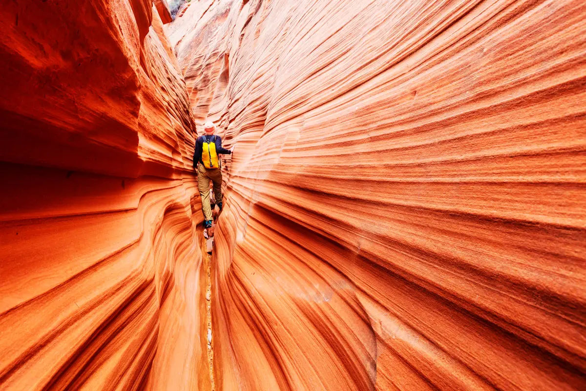 Cinco parques para conocer en su próximo viaje a estados unidos