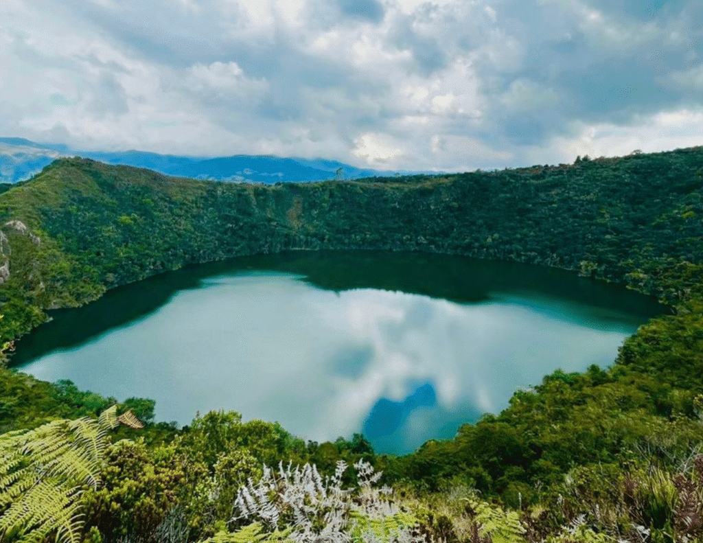 Cinco parques naturales cerca de Bogotá para visitar en 2023 Reserva Forestal Embalse del Neusa