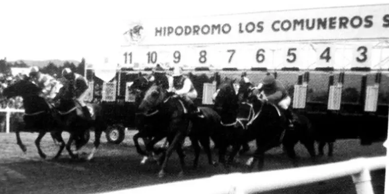 Colombia, el país que olvidó los caballos