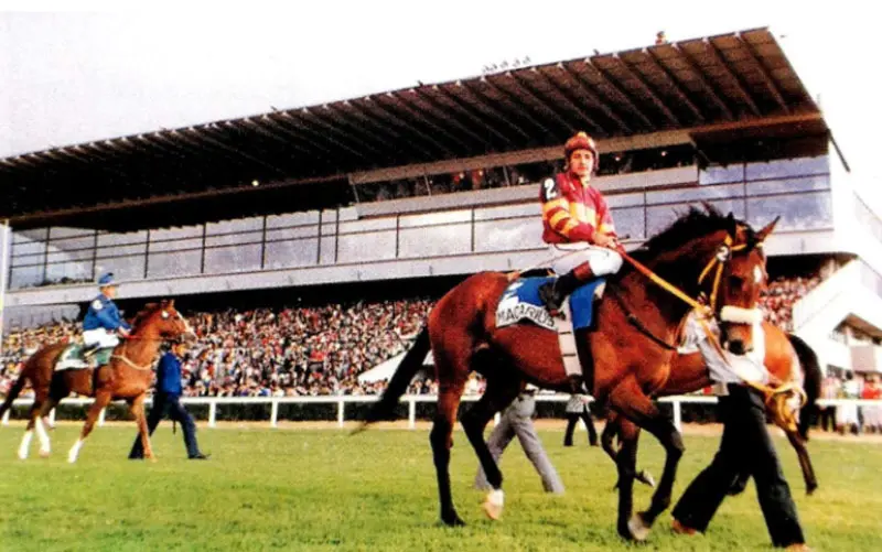 Colombia, el país que olvidó los caballos