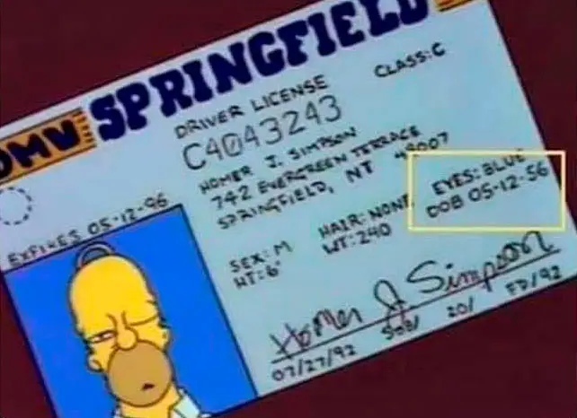 DNI Homer Simpson