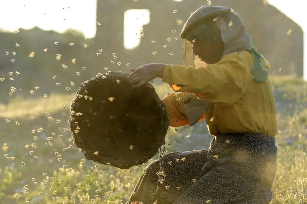 ¿de qué tratan y cómo ver los documentales nominados a los premios óscar 2020? Honeyland