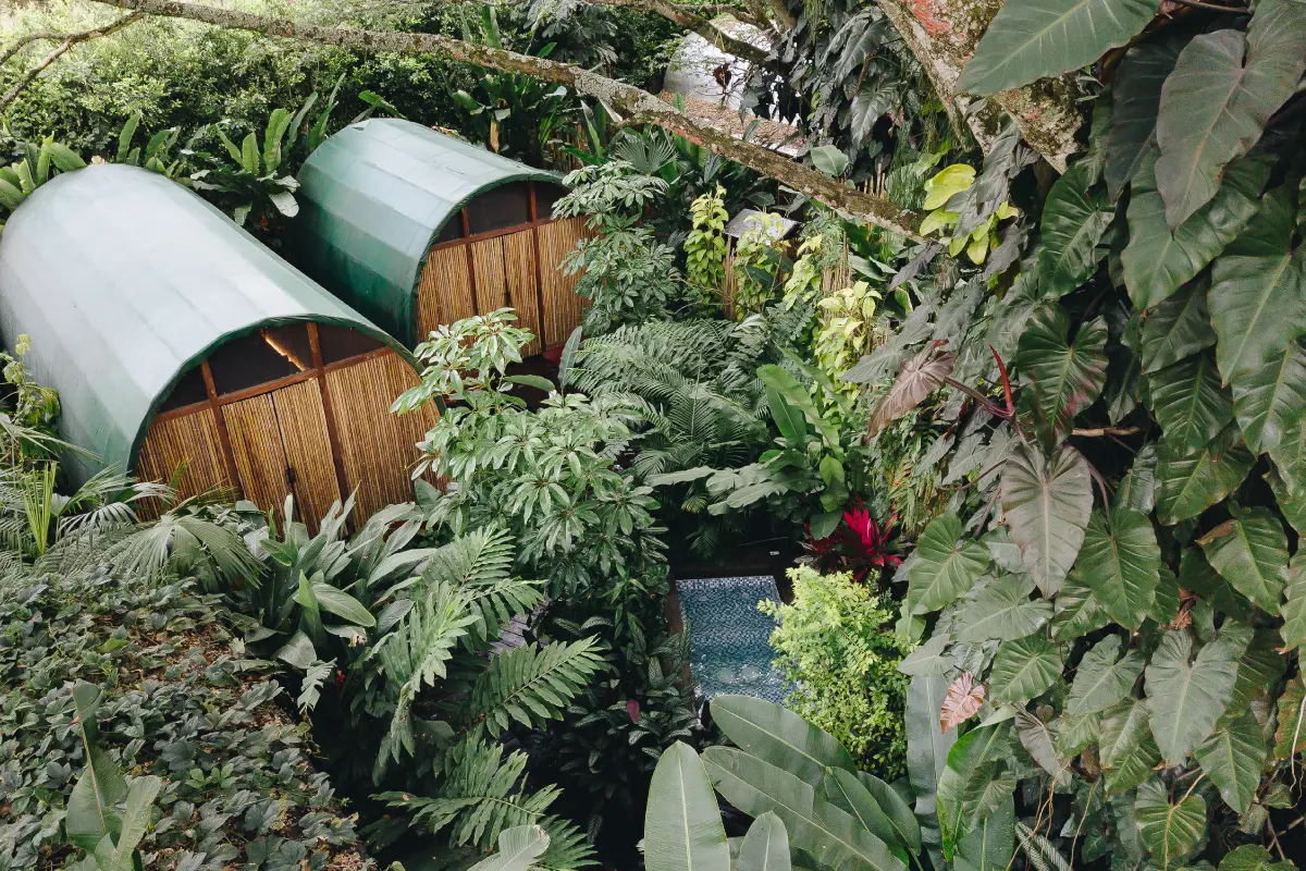 Secretos de Colombia: 13 hoteles boutique en el país Sazagua