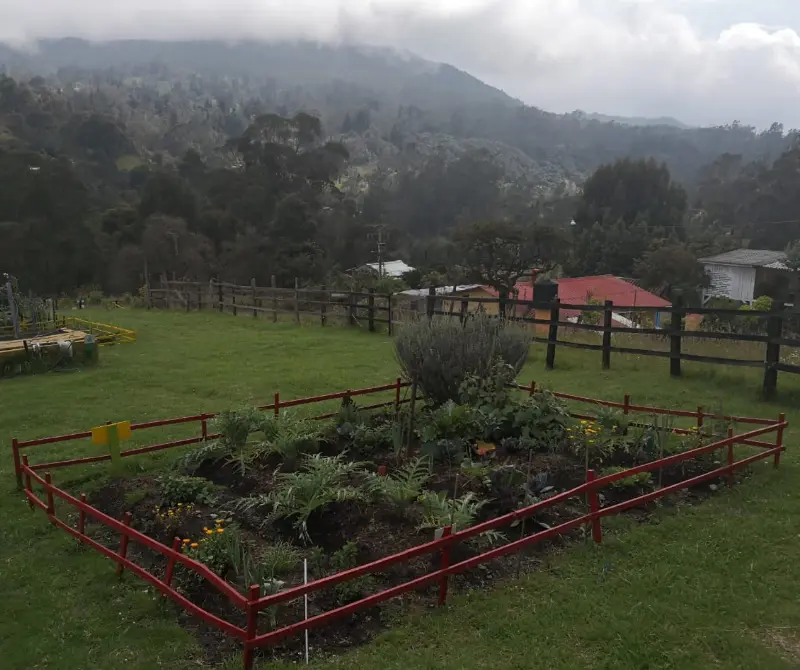 Anímese a cuidar su propia huerta