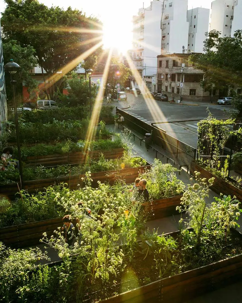 Los vegetales reinan en la alta cocina del mundo
