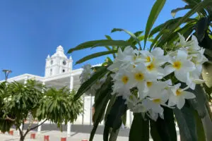 De ciénaga a aracataca: la ruta mágica por el macondo de gabo