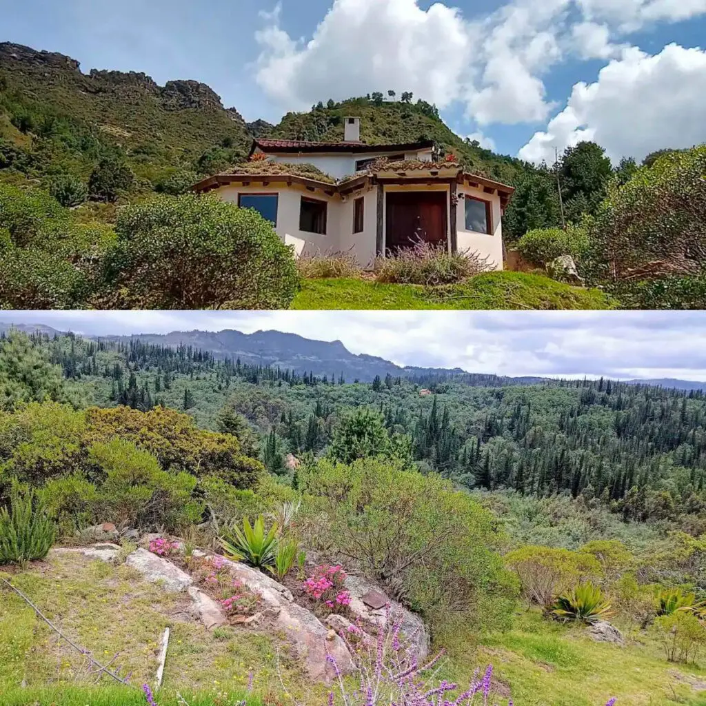 Compartir con su perro