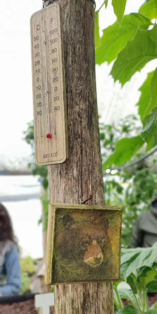 Agua, Oso, Termostato,