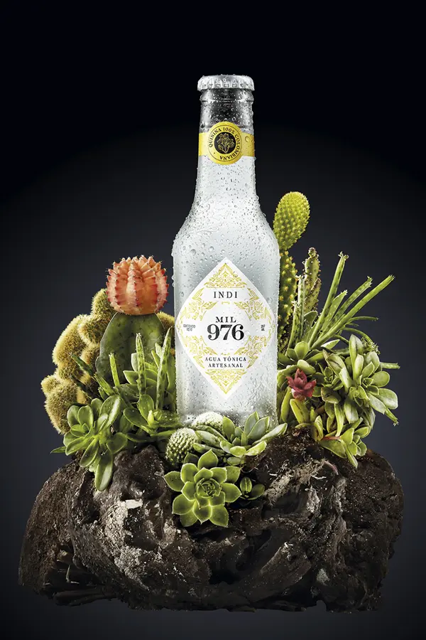 Agua tónica, un amargo camino de dichas Agua tónica, un amargo camino de dichas