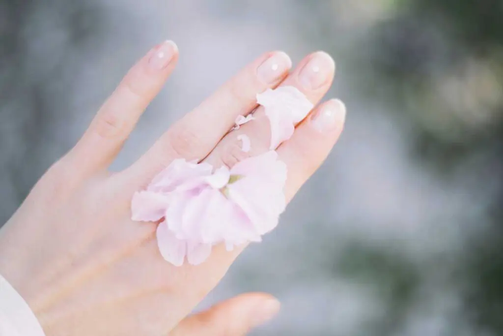 Recetas con pétalos de rosa para conservar la belleza natural de la piel Recetas con pétalos de rosa