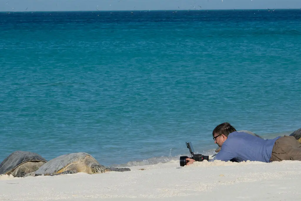 Océanos con David Attenborough, el documental que muestra que la vida marina aún tiene esperanza Océanos David Attenborough