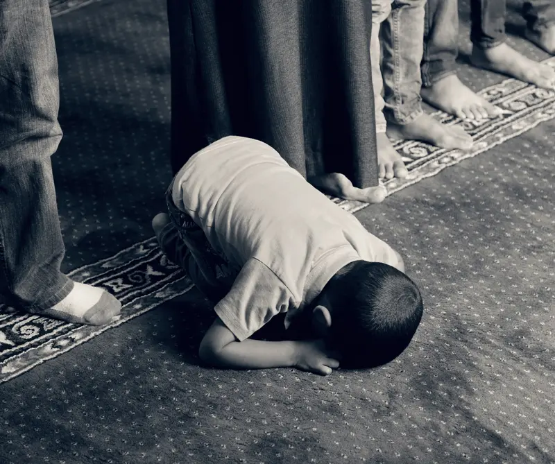 ¿está la esencia del islam de acuerdo con el terrorismo?