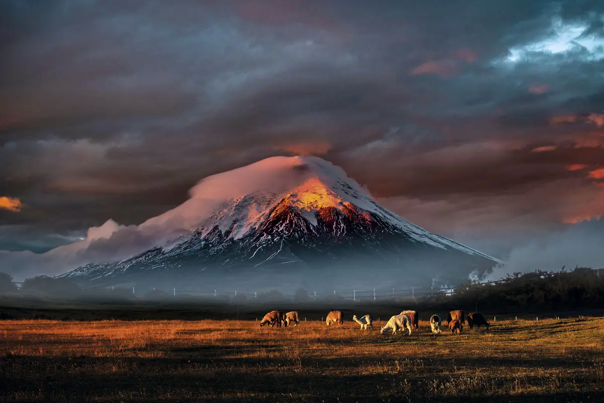 Ecuador