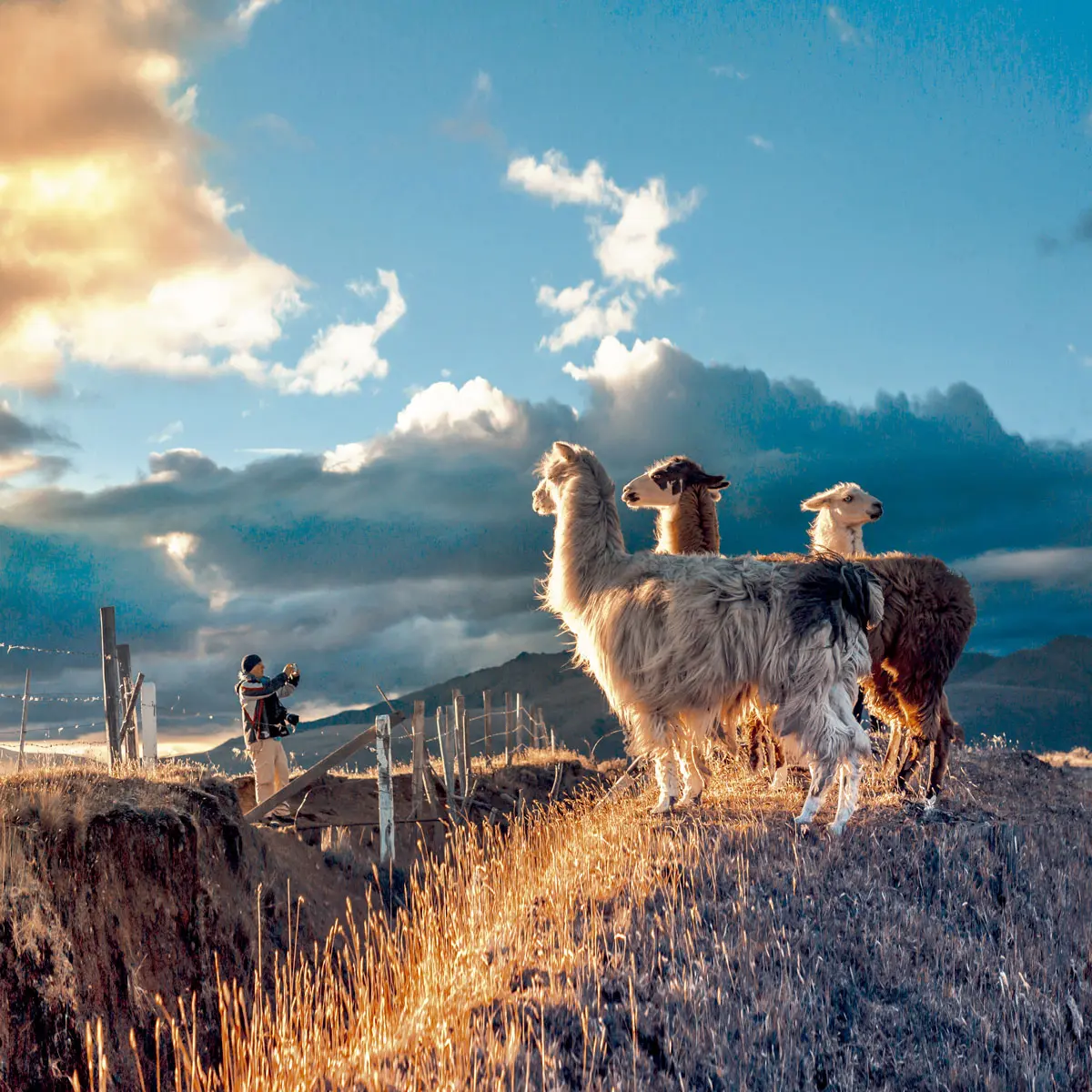 John quintero: "crear conciencia es parte de mi trabajo como fotógrafo"