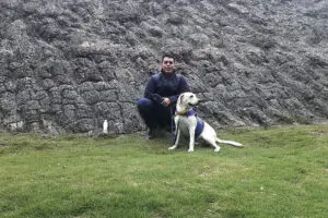 Perros de Asistencia