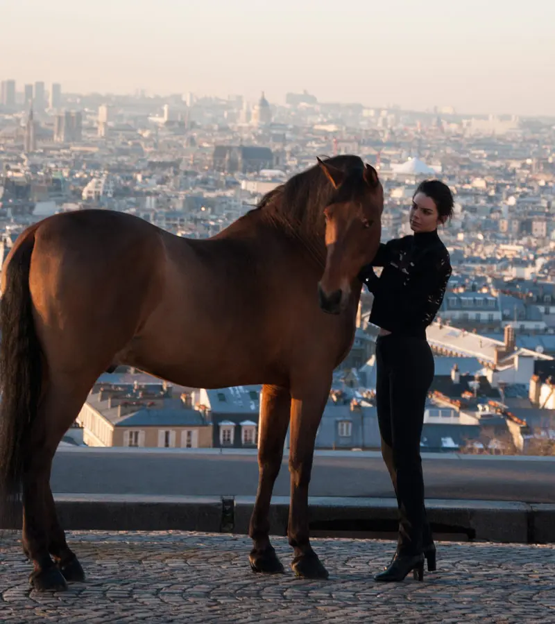 Longchamp: arte de vida