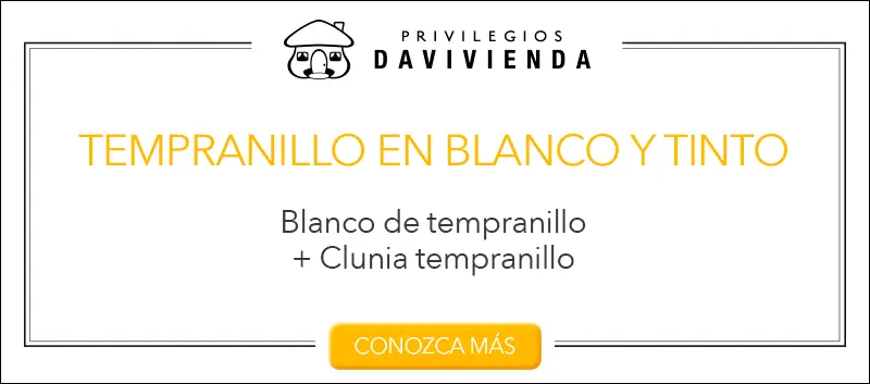 Vinos españoles que no pueden faltar en su cava Vinos españoles que no pueden faltar en su cava