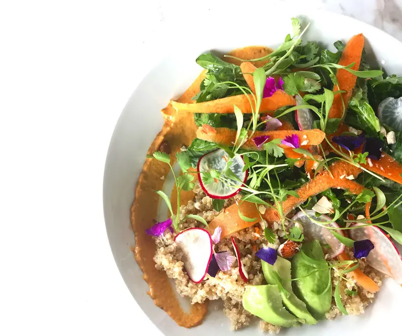 El lado divertido de la comida vegana El lado divertido de la comida vegana