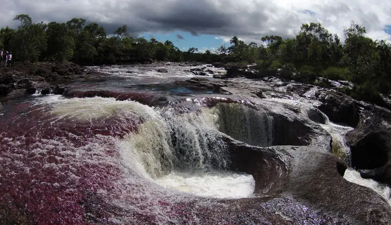 Samy Bessudo: “El secreto es adaptarse”