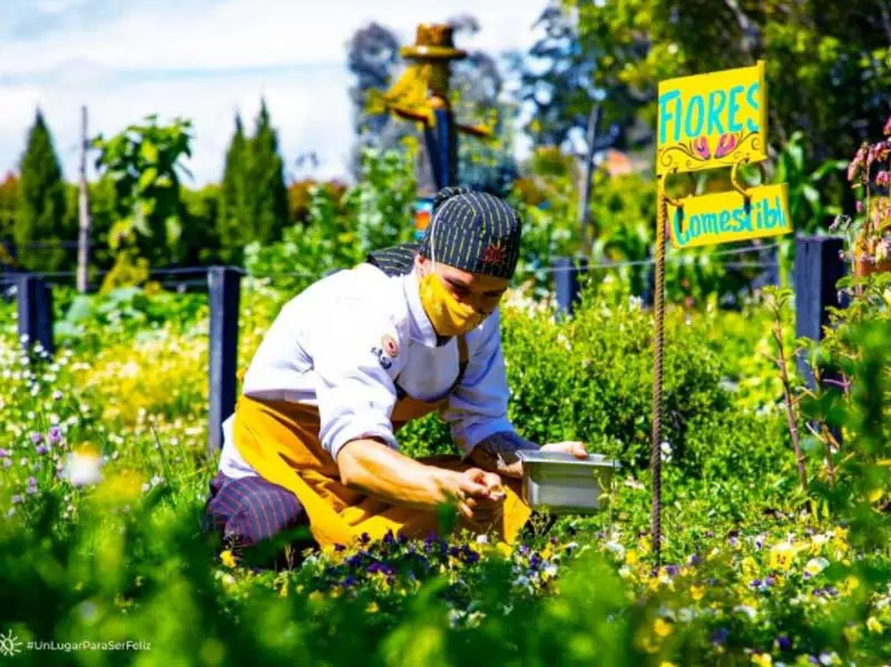 20 restaurantes a las afueras de Bogotá para visitar el fin de semana