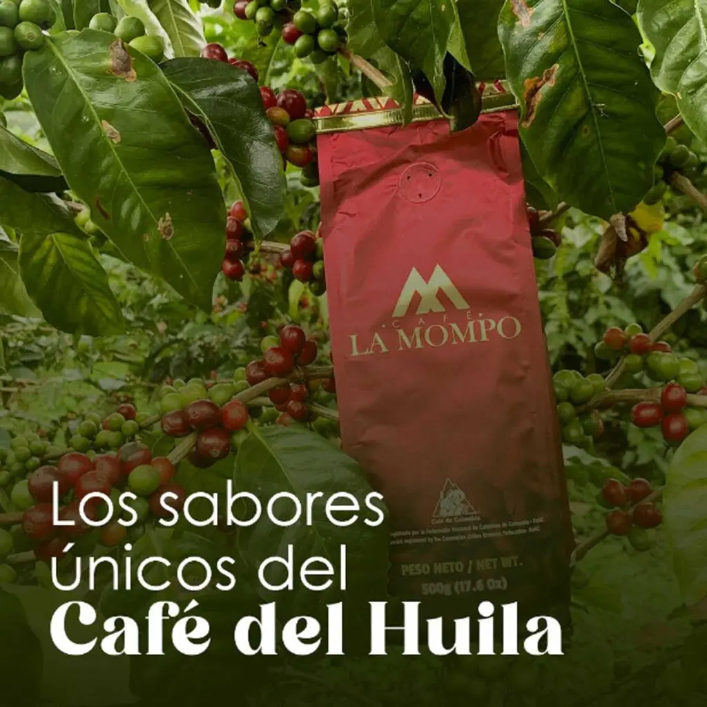 50 marcas de café colombiano para disfrutar en 2024 Café colombiano