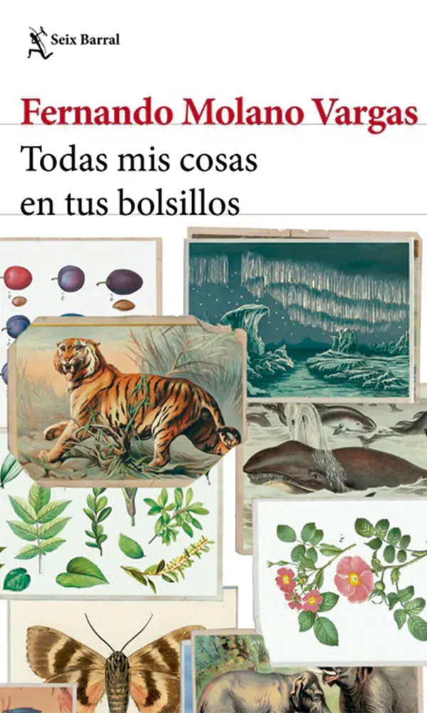 Libros recomendados