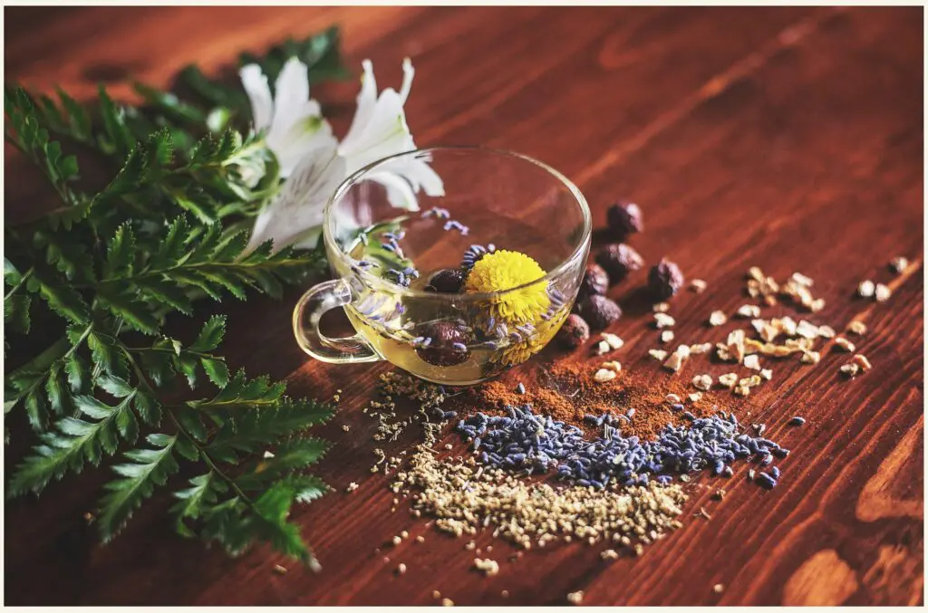 Secretos de una sommelier de té