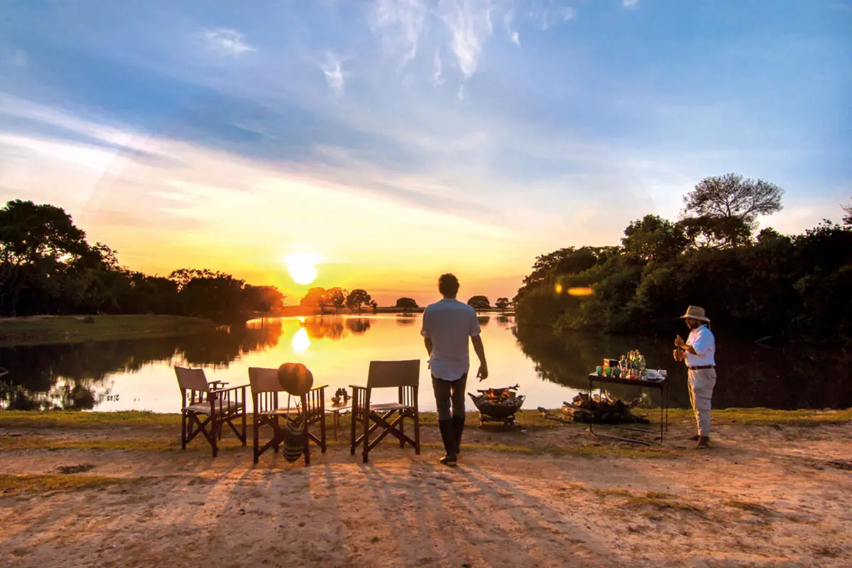Safari llanero: un viaje a las profundidades de los llanos colombianos