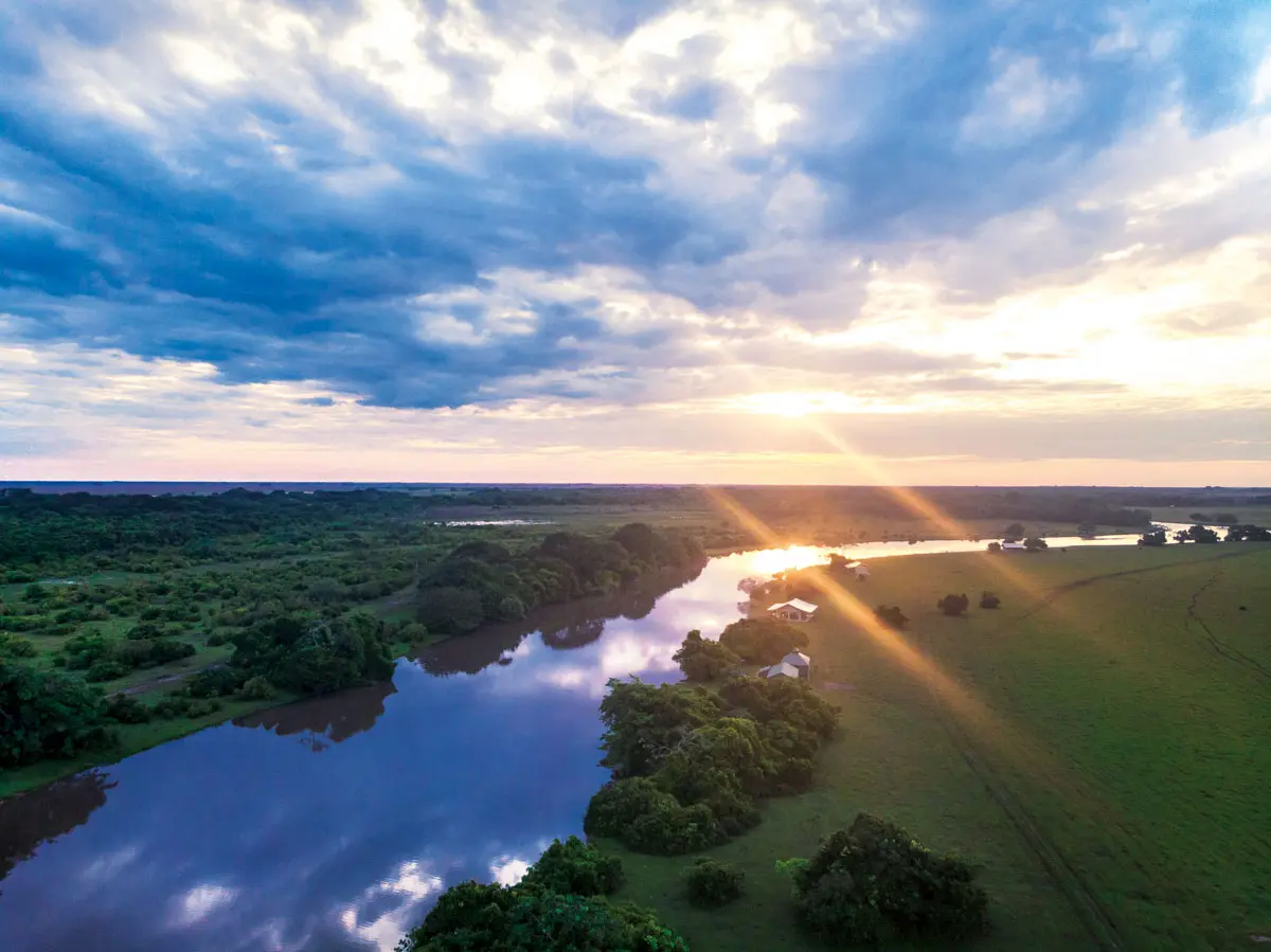 Safari llanero: un viaje a las profundidades de los llanos colombianos