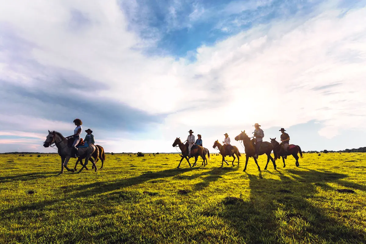 Safari llanero: un viaje a las profundidades de los llanos colombianos