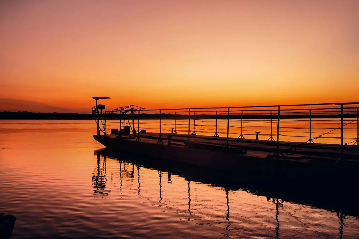 Safari llanero: un viaje a las profundidades de los llanos colombianos