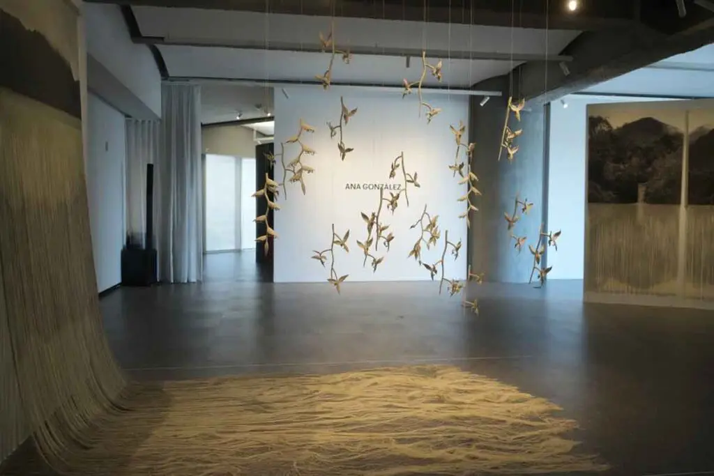 Llovizna: la fuerza sutil de la naturaleza en la obra de Ana González