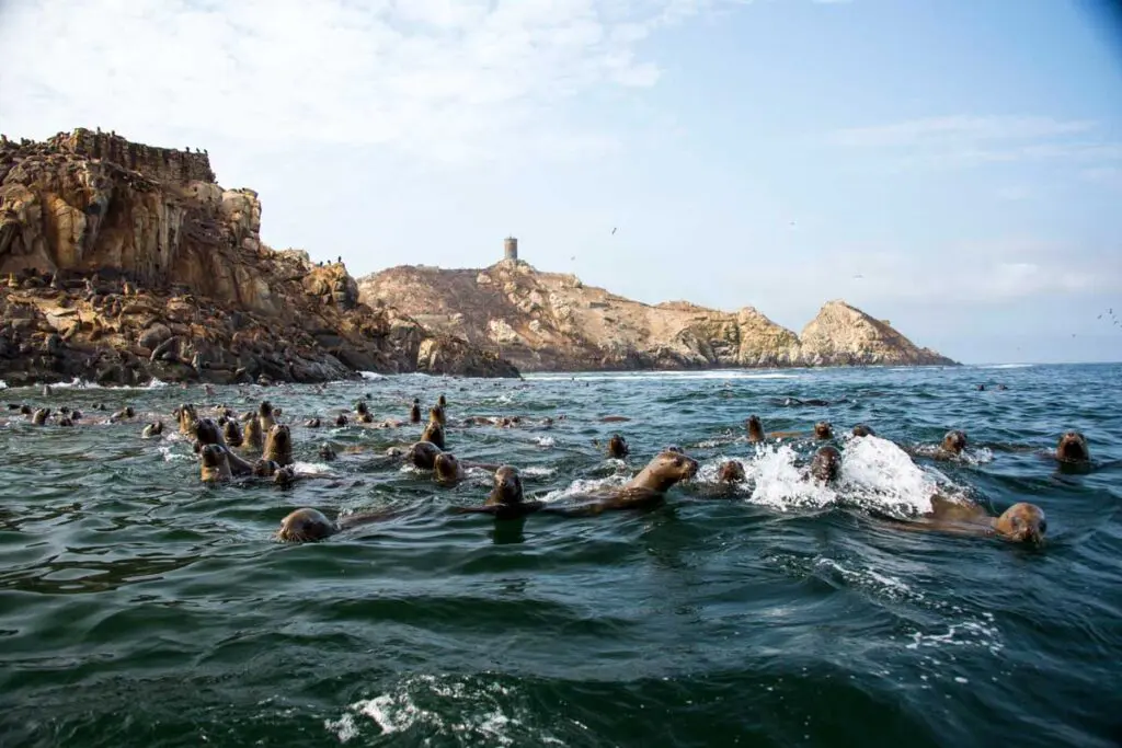 Destinos sostenibles en perú