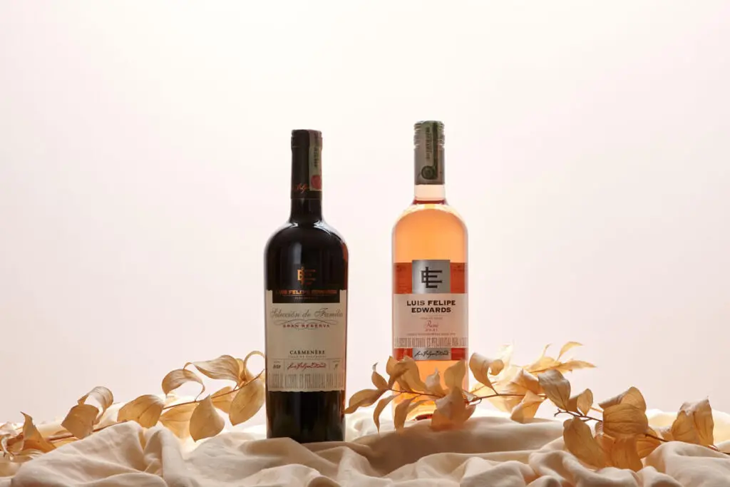 6 vinos chilenos y argentinos para cada ocasión