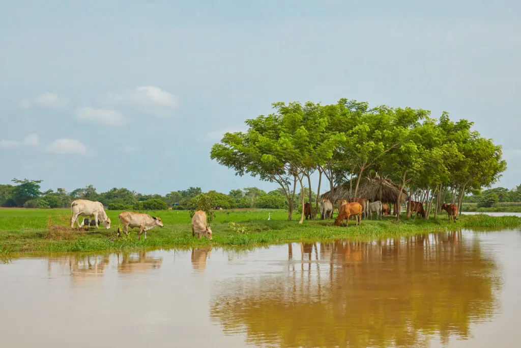 Cinco lugares imperdibles para visitar en 2024 en latinoamérica Cinco lugares imperdibles para visitar en 2024 en latinoamérica