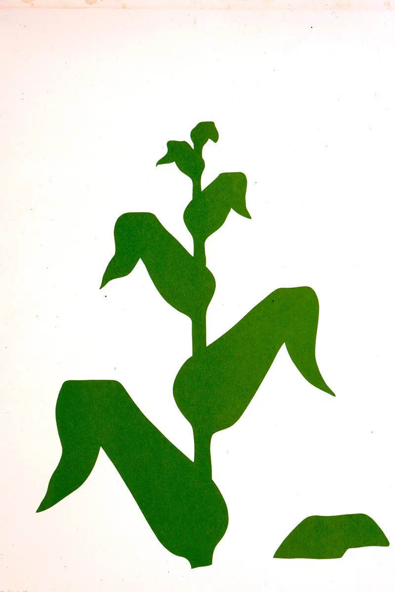 5 obras para recordar a Antonio Caro, el maestro del arte conceptual en Colombia Maiz