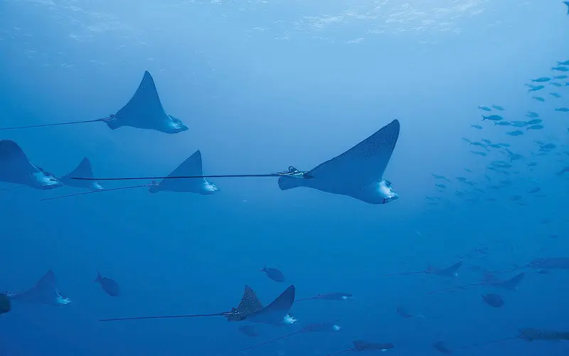 Los lugares más hermosos de Colombia