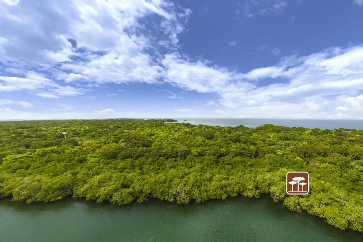 Un recorrido virtual por 5 increíbles parques naturales de Colombia